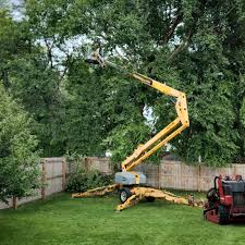 Best Landscape Design and Installation  in Trafalgar, IN