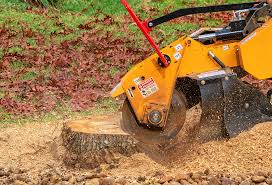 How Our Tree Care Process Works  in  Trafalgar, IN